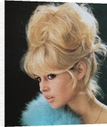 Celebrity Image art print - Brigitte Bardot poster