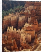 Anonymous art print - Bryce Canyon poster