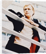 Celebrity Image art print - David McCallum poster