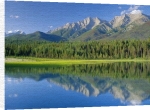 Anonymous art print - Dog Lake Canada poster