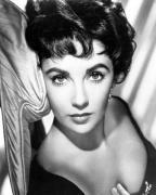 Elizabeth Taylor art print