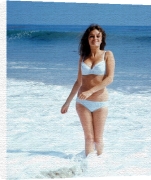 Celebrity Image art print - Jacqueline Bisset poster