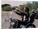 Celebrity Image art print - Peter Fonda poster