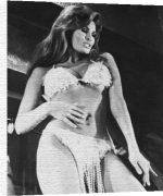Celebrity Image art print - Raquel Welch poster