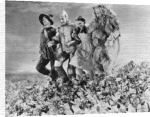 Celebrity Image art print - The Wizard of Oz poster