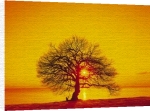 Anonymous art print - Tree Sunset poster