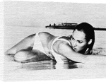 Celebrity Image art print - Ursula Andress poster
