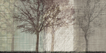 Tandi Venter art print