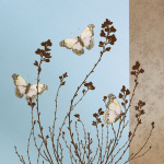 Caroline Gold art print