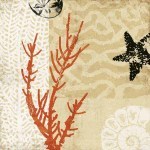 Tandi Venter art print