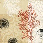 Tandi Venter art print