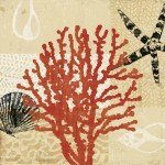 Tandi Venter art print