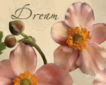 Jan Tanner art print