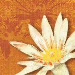 Tandi Venter art print