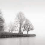 LSH art print
