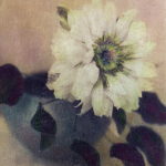 Susan Friedman art print