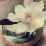 Susan Friedman art print
