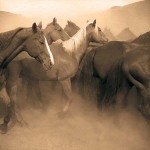 Adam Jahiel art print