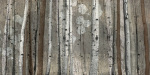 Tandi Venter art print