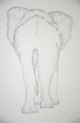 'Elephant' giclee art print