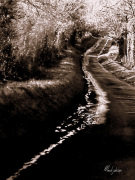 Mark Johnson art print