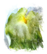 fab art print