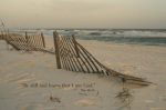 Be Still giclee art print