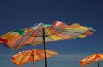 Sue Kennedy art print