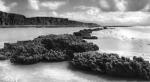 Beachscape art print