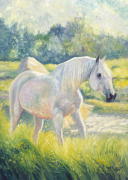 Gill Bustamante B.A. art print