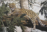 Gary Roberts art print