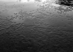 Sara Smith art print