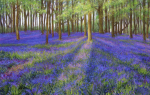 Theresa Evans art print