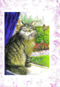Alena Richards art print
