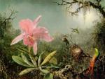 Martin Johnson Heade art print