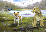 Alena Richards art print