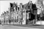 David Dickinson art print