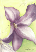 Clemetis giclee art print