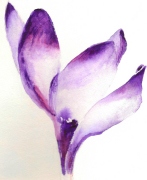 Luisa Gaye Ayre art print