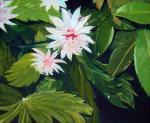 Sally Bamber art print
