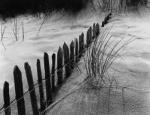 Colin Ivison art print
