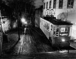 Johannes Muller art print