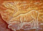 Cave Art art print