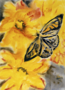 Manuela Metra art print