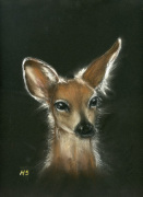 Mary Schofield art print