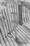 Fence and sand dune, Skye art print