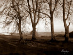 Mark Johnson art print
