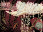Charles Cater art print