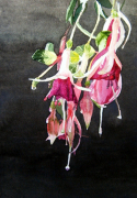 Brenda Ord art print