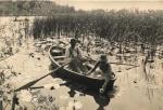Dr. Peter Henry Emerson art print